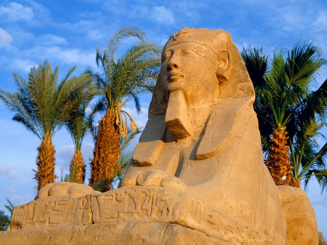 埃及旅游签证
